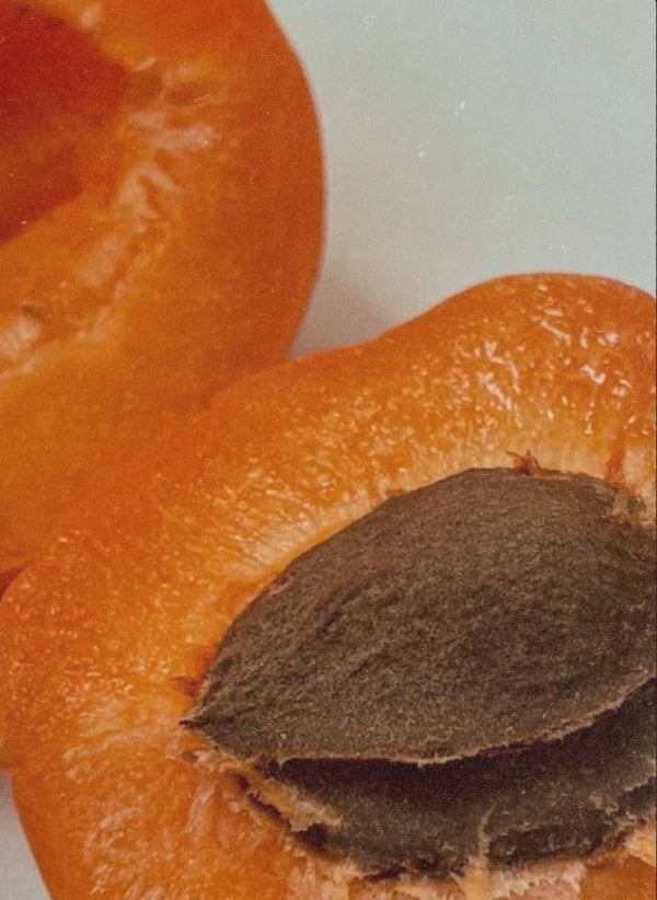APRICOT OIL