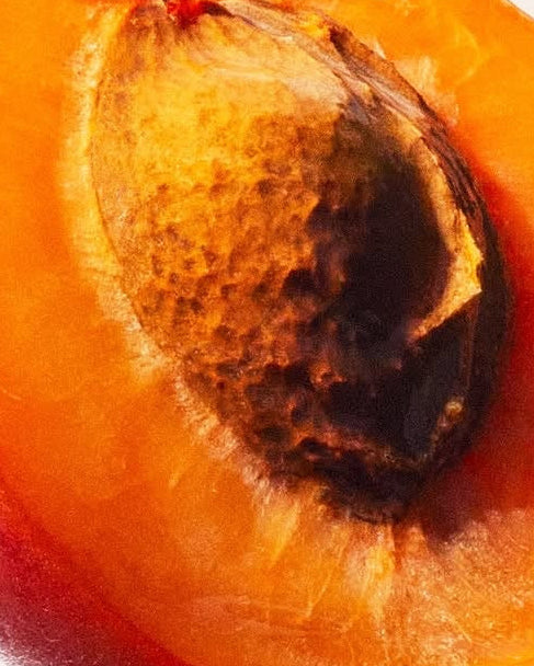 APRICOT OIL